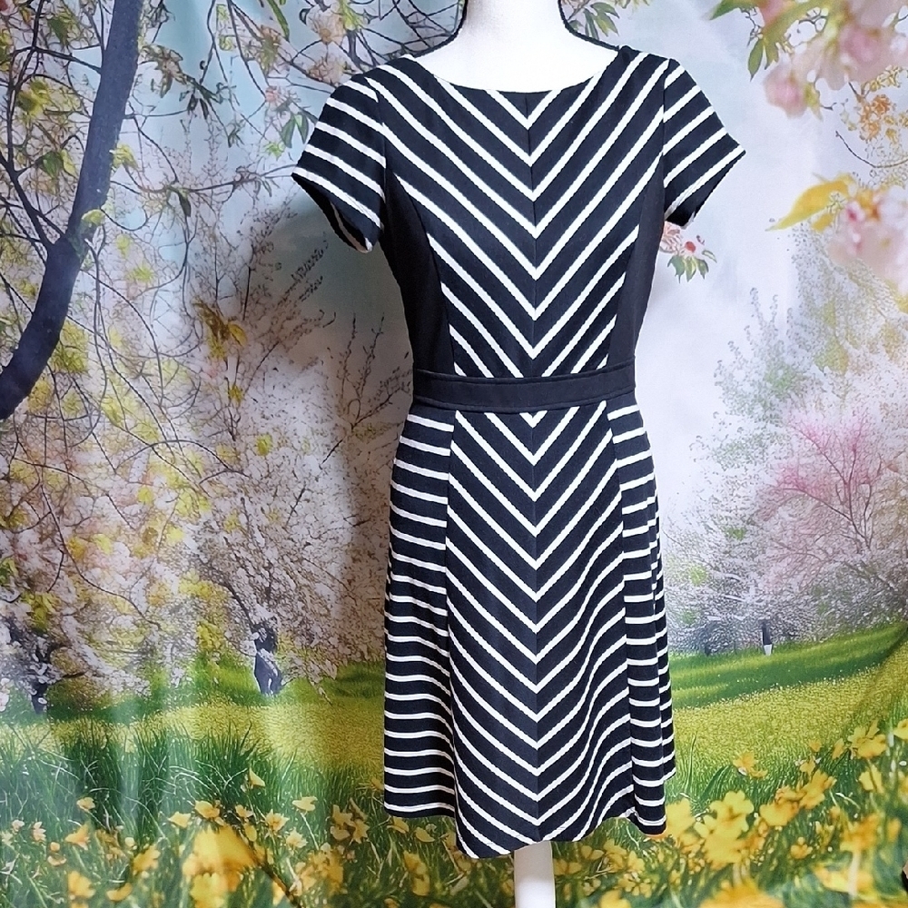 Ellen Tracy Black and White Striped Dress